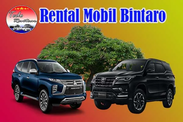 RENTAL-MOBIL-BINTARO-JAKARTA-MURAH-24-JAM